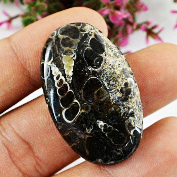 gemsmore:Genuine Amazing Turitella Agate Oval Shape Untreated Loose Gemstone