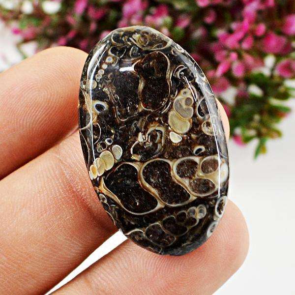 gemsmore:Genuine Amazing Turitella Agate Oval Shape Untreated Loose Gemstone