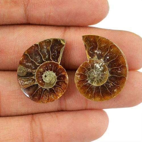 gemsmore:Genuine Ammonite Gemstone Pair