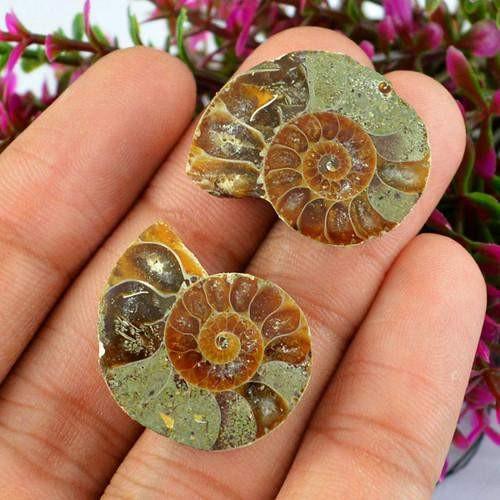 gemsmore:Genuine Ammonite Untreated Gemstone Pair