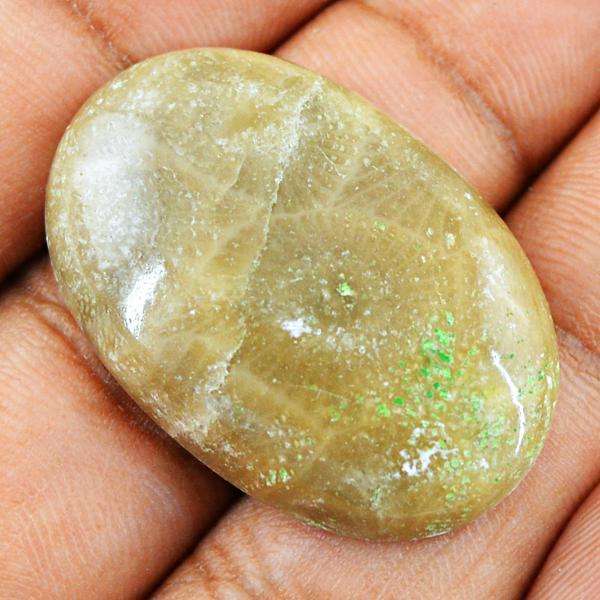 gemsmore:Genuine Coral Fossil Oval Shape Loose Gemstone