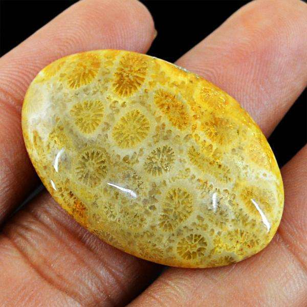 gemsmore:Genuine Coral Fossil Oval Shape Loose Gemstone