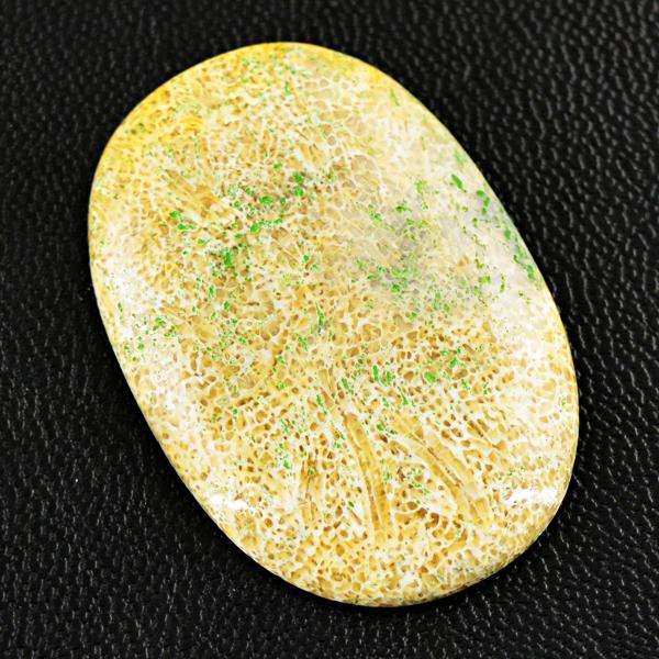 gemsmore:Genuine Coral Fossil Oval Shape Untreated Loose Gemstone