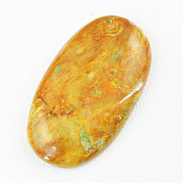 gemsmore:Genuine Coral Fossil Oval Shape Untreated Loose Gemstone