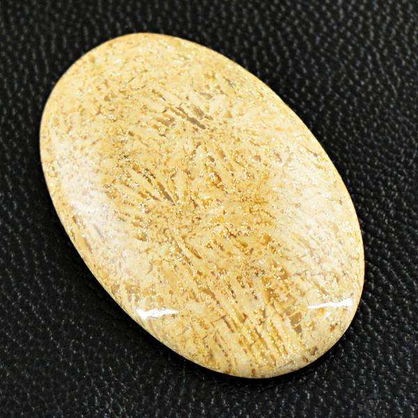 gemsmore:Genuine Coral Fossil Oval Shape Untreated Loose Gemstone