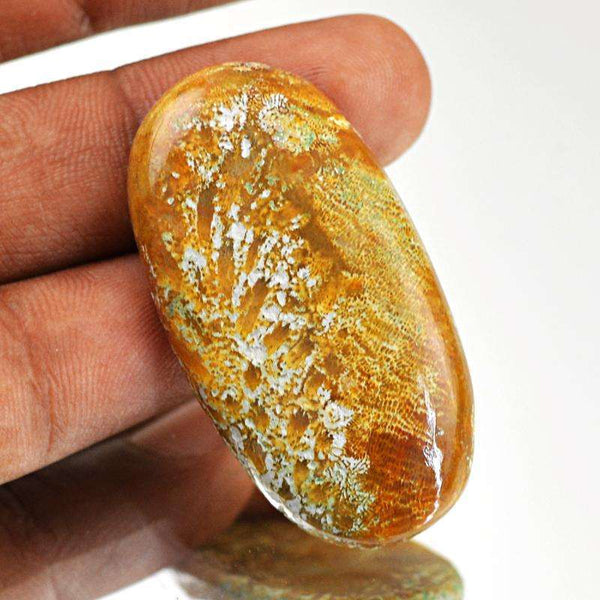 gemsmore:Genuine Coral Fossil Oval Shape Untreated Loose Gemstone