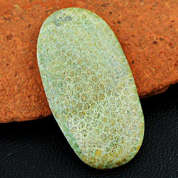 gemsmore:Genuine Coral Fossil Oval Shape Untreated Loose Gemstone