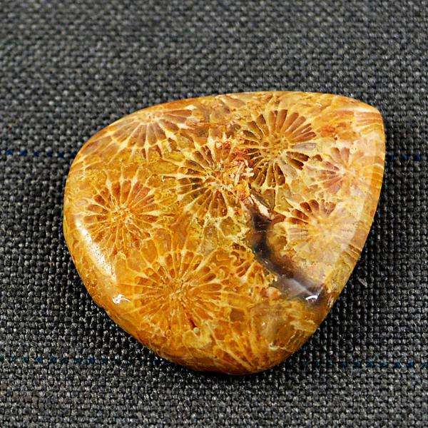 gemsmore:Genuine Coral Fossil Pear Shape Loose Gemstone