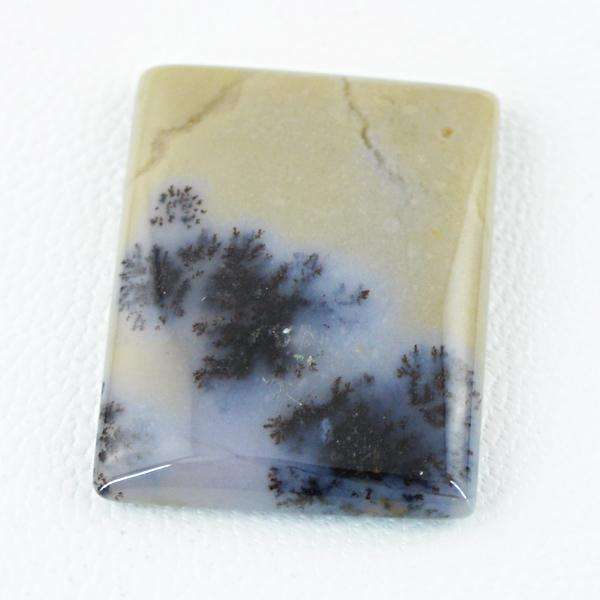 gemsmore:Genuine Dendrite Opal Untreated Loose Gemstone