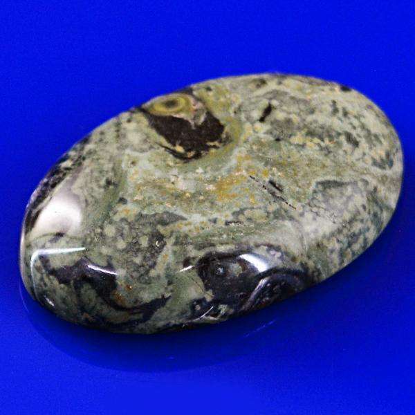 gemsmore:Genuine Kambaba Jasper Oval Shape Untreated Loose Gemstone