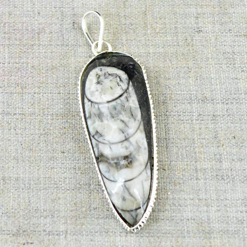 gemsmore:Genuine Orthoceras Pendant - Natural Untreated