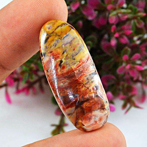 gemsmore:Genuine Oval Shape Bird Eye Jasper Untreated Loose Gemstone