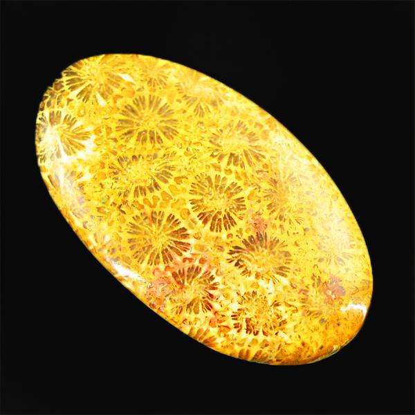 gemsmore:Genuine Oval Shape Coral Fossil Untreated Loose Gemstone