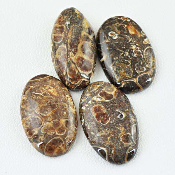 gemsmore:Genuine Oval Shape Turritella Agate Untreated Loose Gemstone Lot