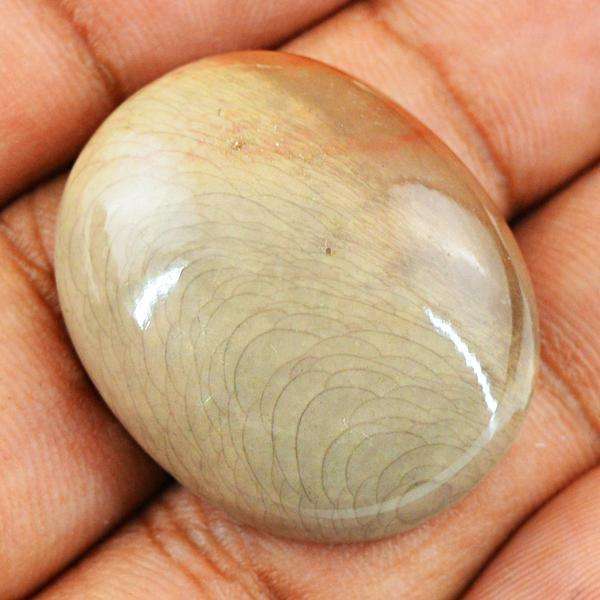 gemsmore:Genuine Polygram Jasper Oval Shape Untreated Loose Gemstone