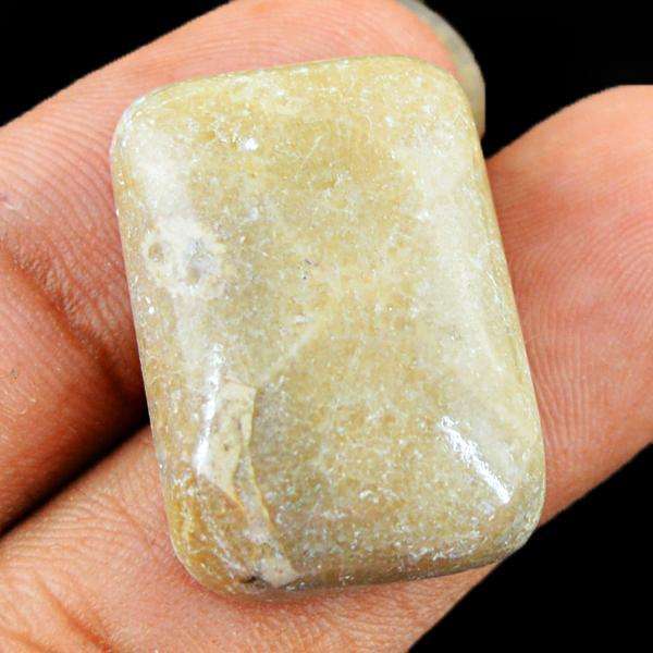 gemsmore:Genuine Polygram Jasper Untreated Loose Gemstone