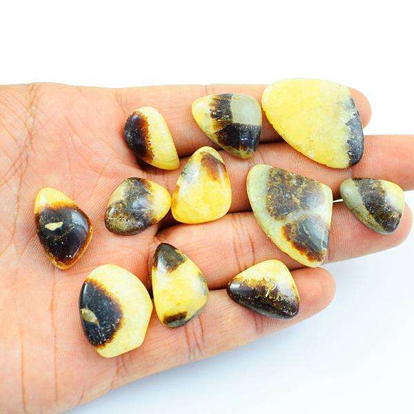 gemsmore:Genuine Septarian Agate Untreated Loose Gemstone Lot