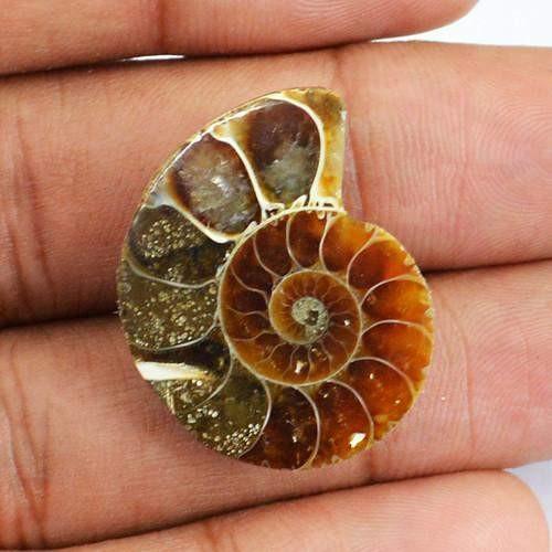 gemsmore:Genuine Untreated Ammonite Gemstone