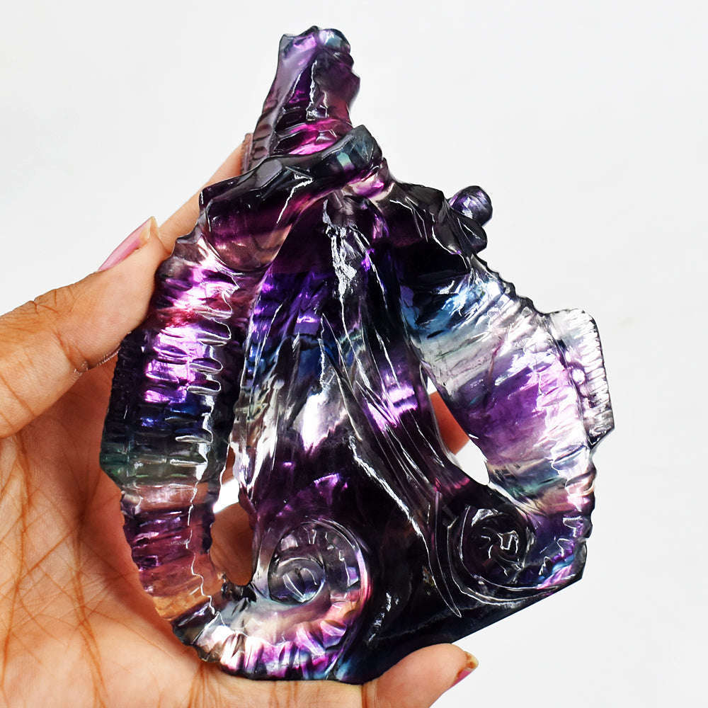 gemsmore:Gorgeous Multicolor Fluorite Hand Carved Genuine Crystal Seahorse Gemstone