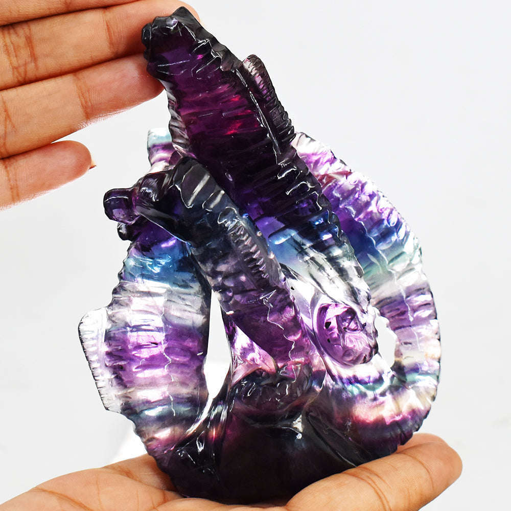 gemsmore:Gorgeous Multicolor Fluorite Hand Carved Genuine Crystal Seahorse Gemstone