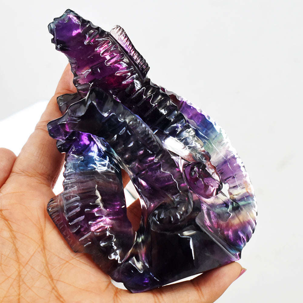 gemsmore:Gorgeous Multicolor Fluorite Hand Carved Genuine Crystal Seahorse Gemstone