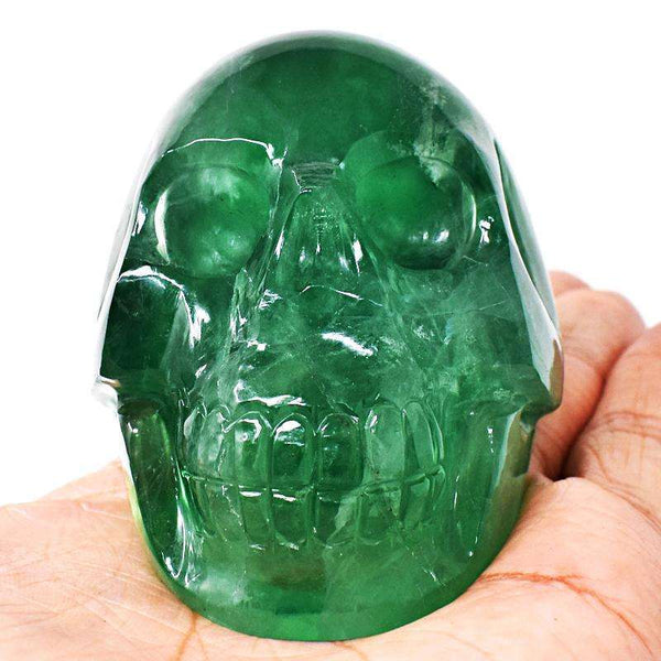 gemsmore:Hand Carved Green Fluorite Skull - Museum Size