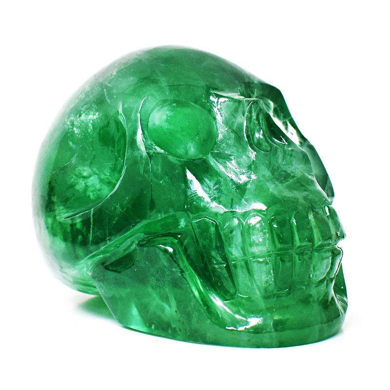 gemsmore:Hand Carved Green Fluorite Skull - Museum Size