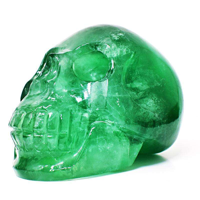 gemsmore:Hand Carved Green Fluorite Skull - Museum Size