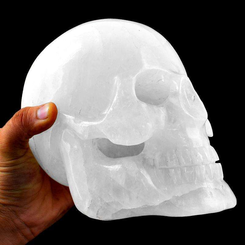 gemsmore:Museum Size Exclusive Hand Carved White Quartz  Skull Gemstone