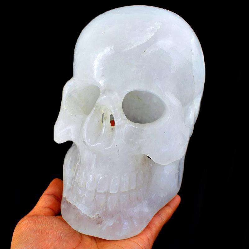 gemsmore:Museum Size Exclusive Hand Carved White Quartz  Skull Gemstone