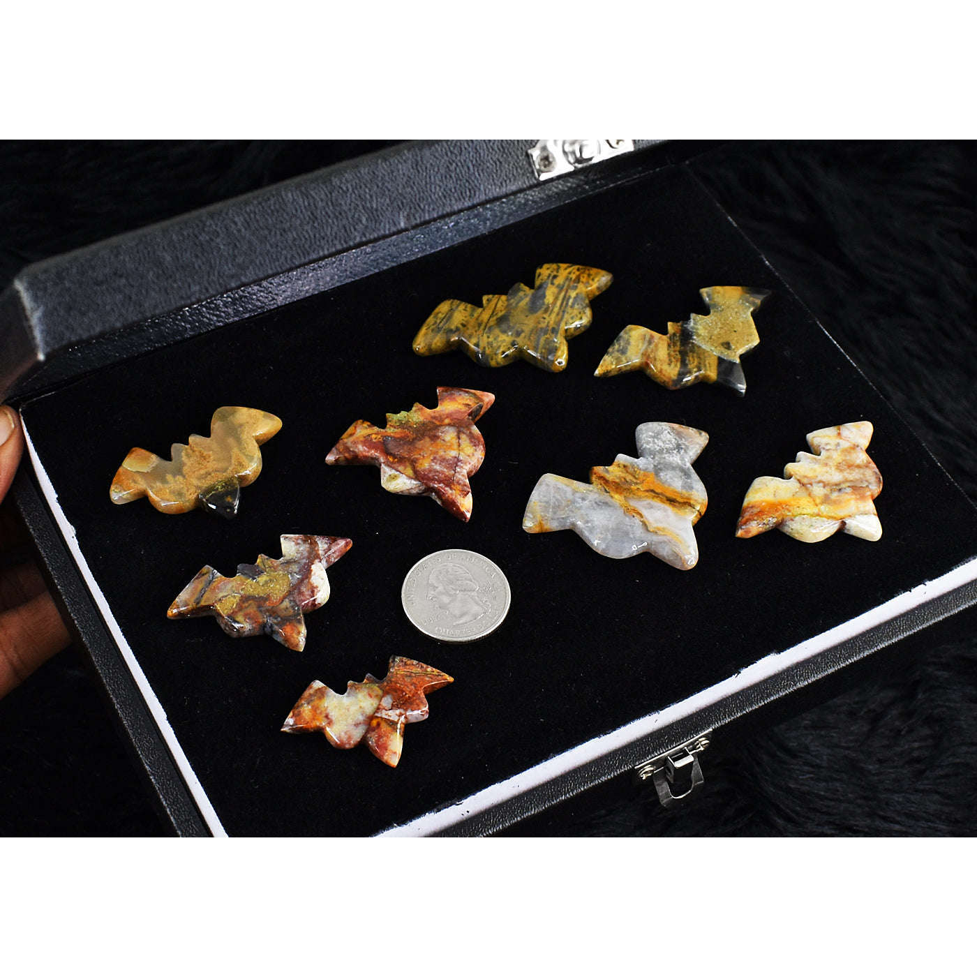 gemsmore:Natural Amazing Agate Untreated Carved Bat Cabochon Lot