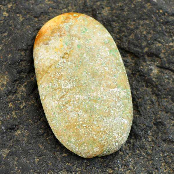 gemsmore:Natural Amazing Coral Fossil Oval Shape Loose Gemstone