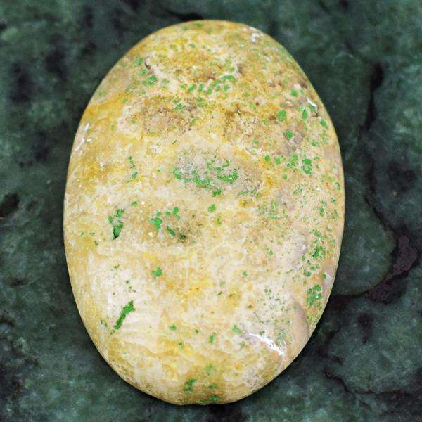 gemsmore:Natural Amazing Coral Fossil Oval Shape Loose Gemstone