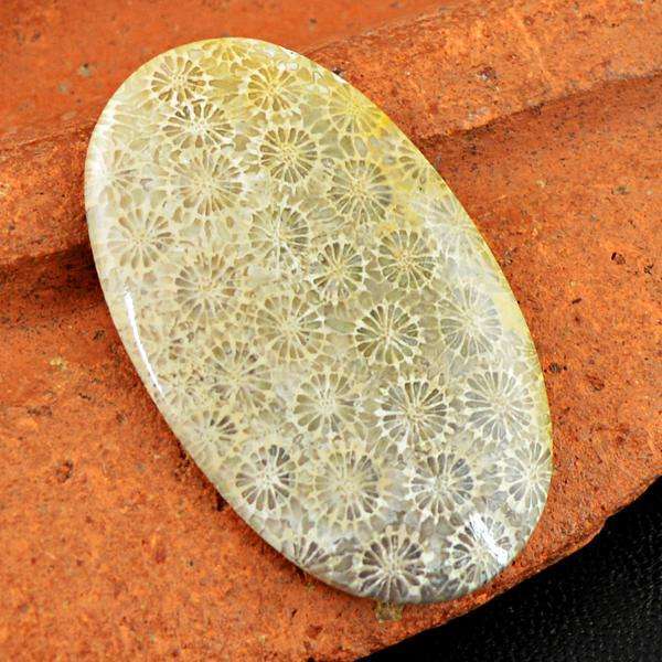 gemsmore:Natural Amazing Coral Fossil Oval Shape Untreatded Loose Gemstone