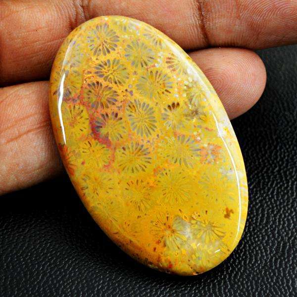 gemsmore:Natural Amazing Coral Fossil Oval Shape Untreated Loose Gemstone