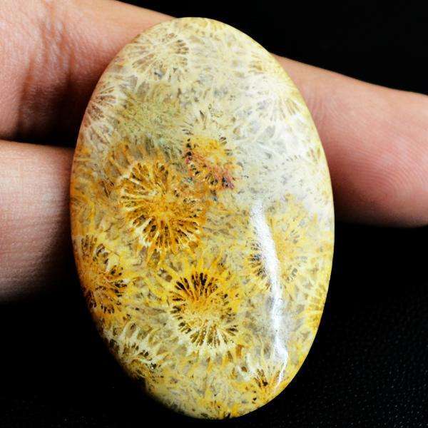 gemsmore:Natural Amazing Coral Fossil Oval Shape Untreated Loose Gemstone
