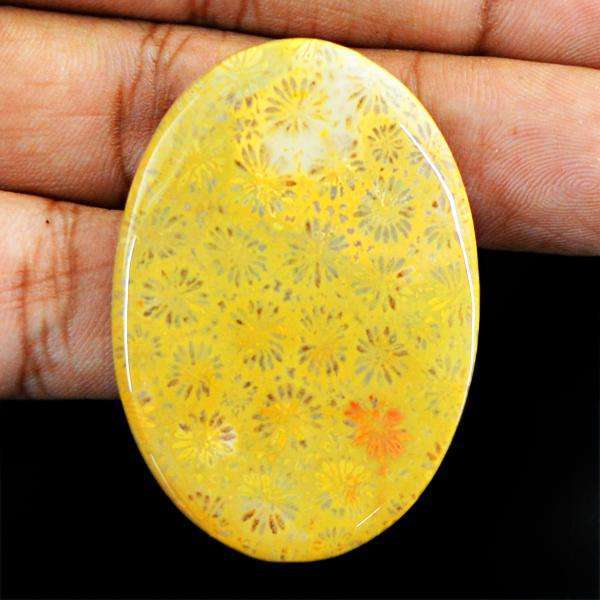 gemsmore:Natural Amazing Coral Fossil Oval Shape Untreated Loose Gemstone