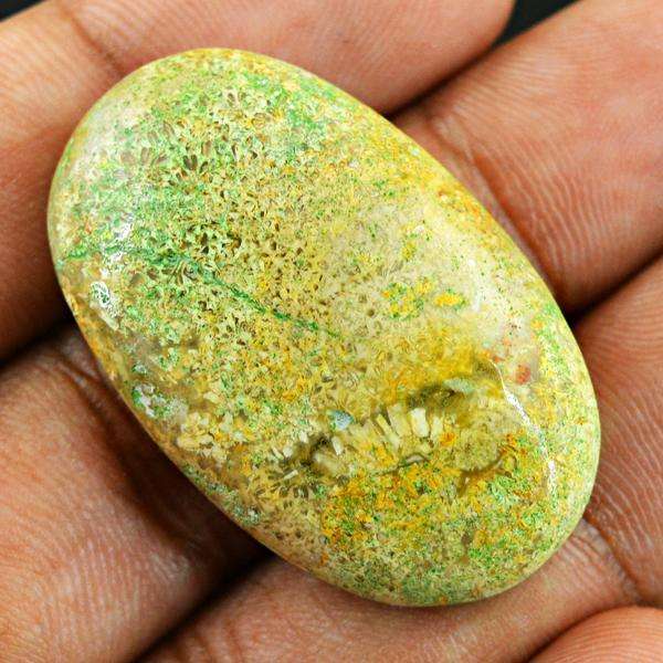 gemsmore:Natural Amazing  Coral Fossil Oval Shape Untreated Loose Gemstone