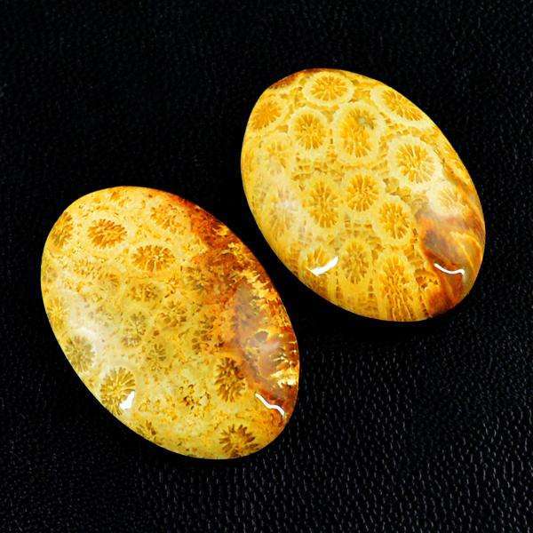 gemsmore:Natural Amazing Coral Fossil Oval Shape Untreated Loose Gemstone Pair