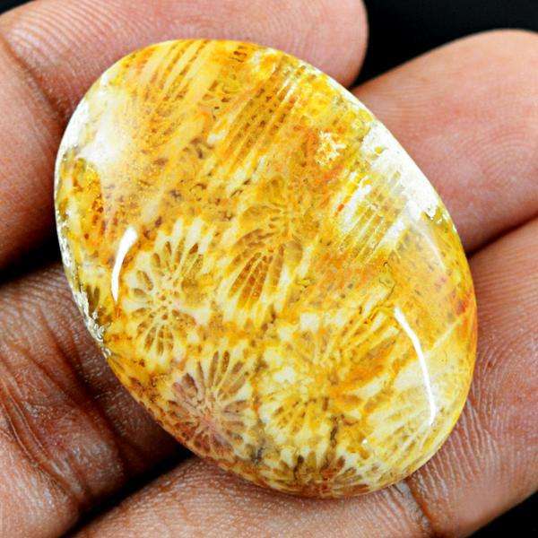 gemsmore:Natural Amazing Coral Fossil Oval Shape Untreated Loose Gemstone