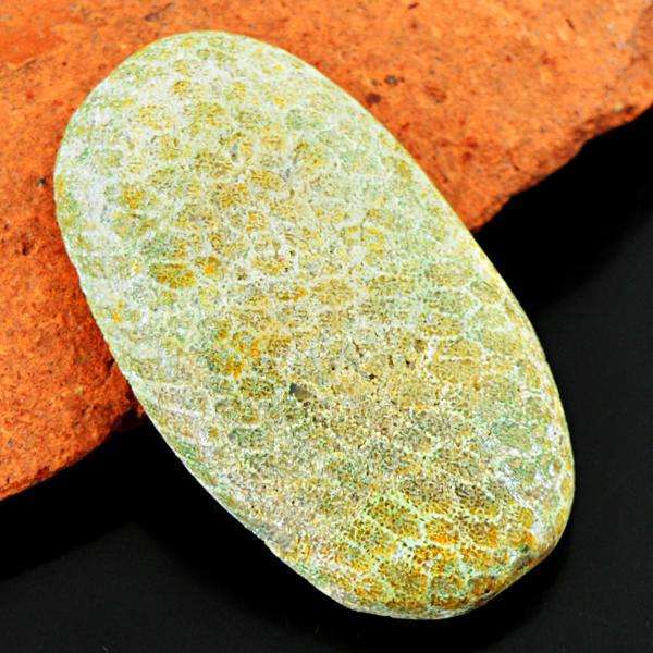 gemsmore:Natural Amazing Coral Fossil Oval Shape Untreated Loose Gemstone