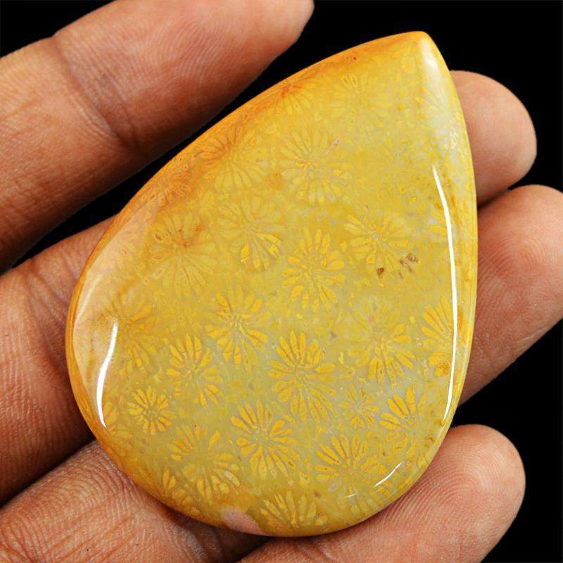 Natural Amazing Coral Fossil Pear Shape Gemstone