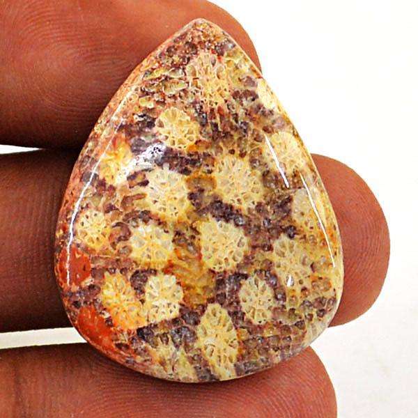 gemsmore:Natural Amazing Coral Fossil Pear Shape Loose Gemstone