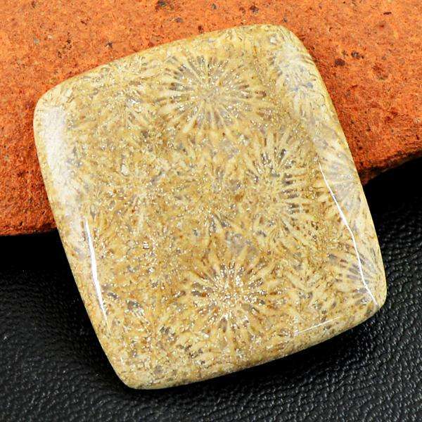 gemsmore:Natural Amazing Coral Fossil Untreated Loose Gemstone