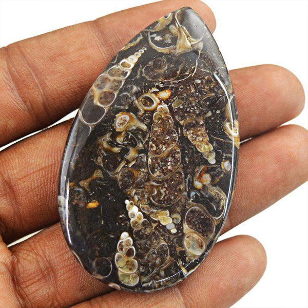 gemsmore:Natural Amazing Crinoid Fossil Pear Shape Gemstone