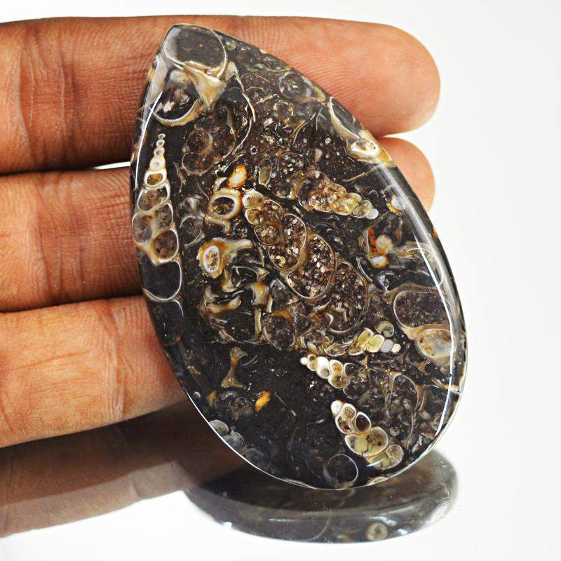 gemsmore:Natural Amazing Crinoid Fossil Pear Shape Gemstone