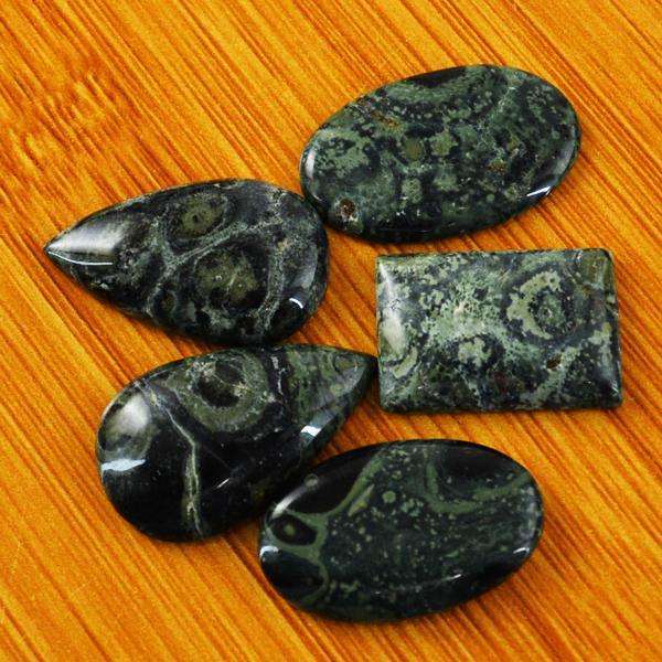 gemsmore:Natural Amazing Kambaba Jasper Untreated Loose Gemstone Lot