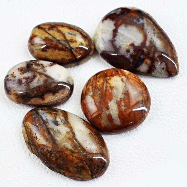 gemsmore:Natural Amazing Outback Jasper Untreated Loose Gemstone Lot