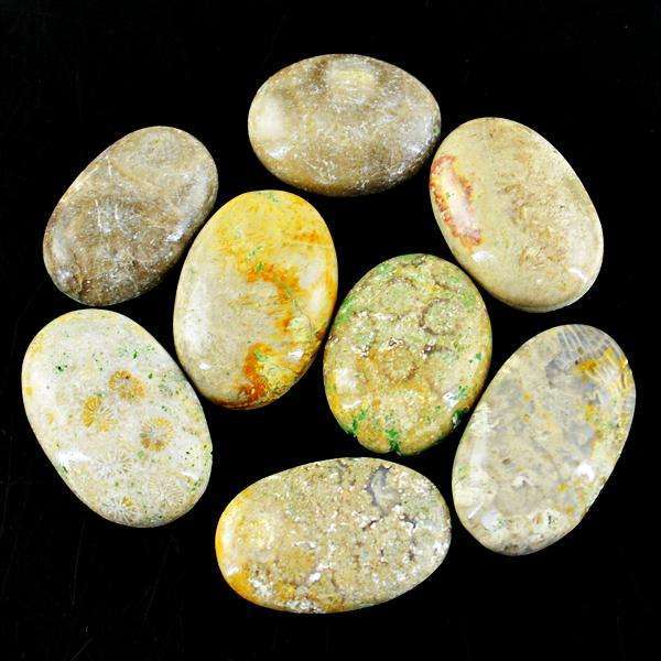 gemsmore:Natural Amazing Oval Shape Coral Fossil Untreated Loose Gemstone Lot