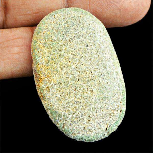 gemsmore:Natural Amazing Oval Shape Coral Fossil Untreated Loose Gemstone